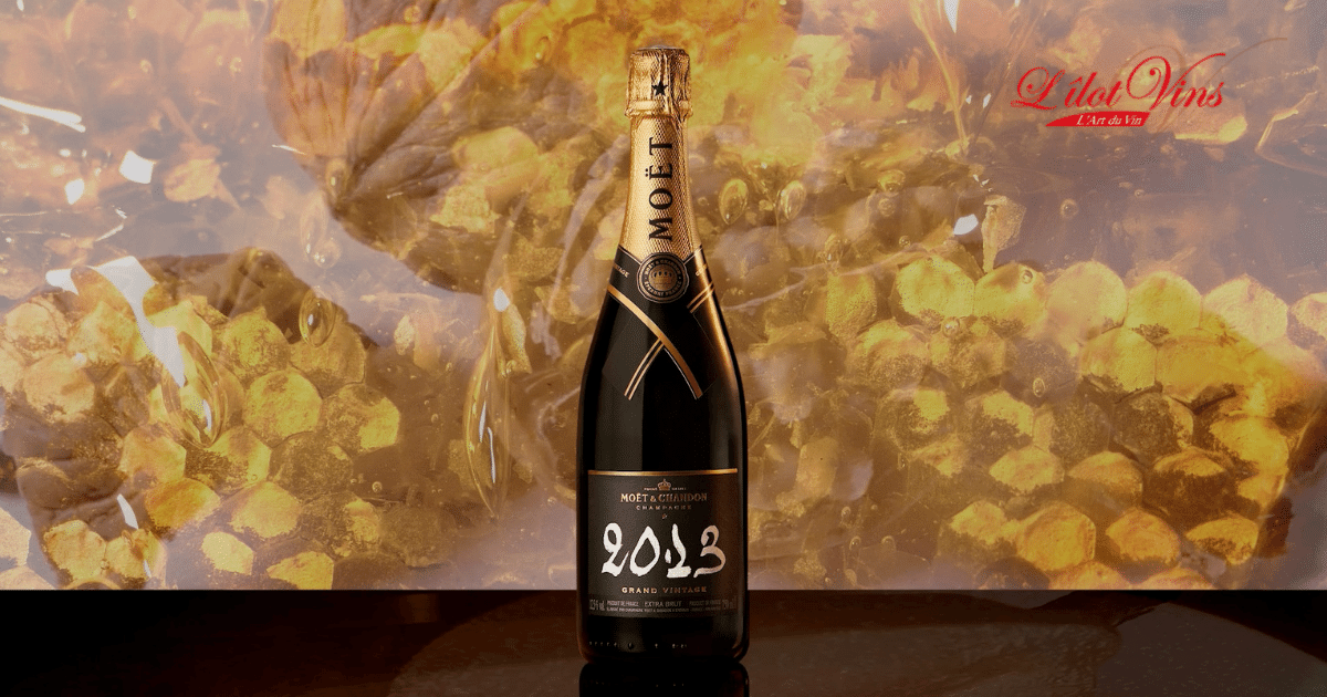 Champagne Moët et Chandon Grand Vintage 2013 – L'îlot Vins Martinique