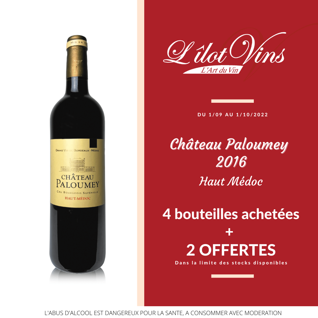 Château Paloumey 2016 - L'îlot Vins Martinique